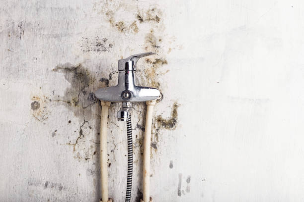 Best Office Mold Removal Services  in Quanah, TX