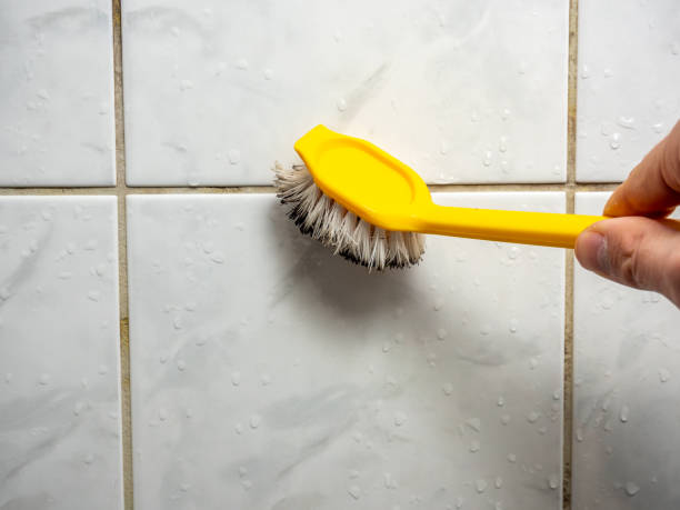Best Water Damage Restoration  in Quanah, TX