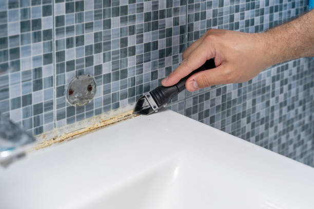 Best Black Mold Removal  in Quanah, TX